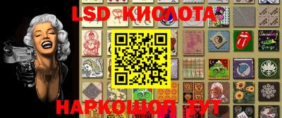 гидропоника Кунгур