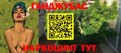 гидра Кулебаки