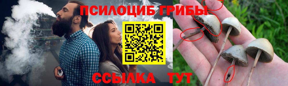 Псилоцибиновые грибы MAGIC MUSHROOMS  Вход с VPN  наркошоп  Дальнегорск 