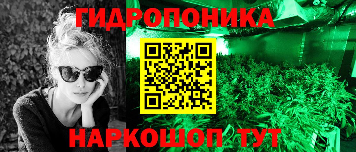 Бошки Шишки сатива Дальнегорск